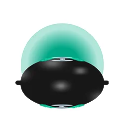 Oval Design